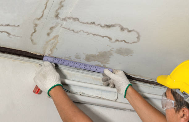 Reliable Basement Water Removal contractor in Cranford, NJ by Water Damage Irwin